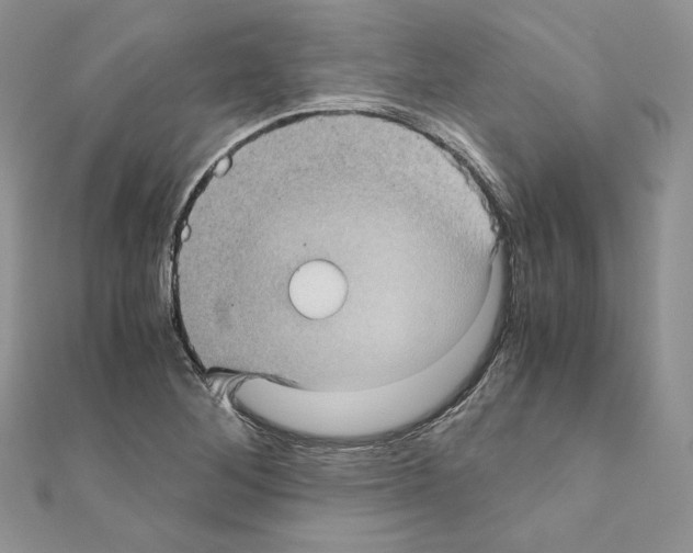 X0000111011268200907311044
