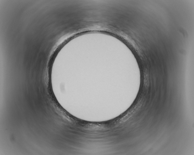 X0000111011270200907311044