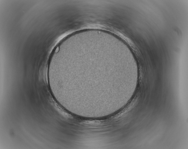 X0000111011272200907311044