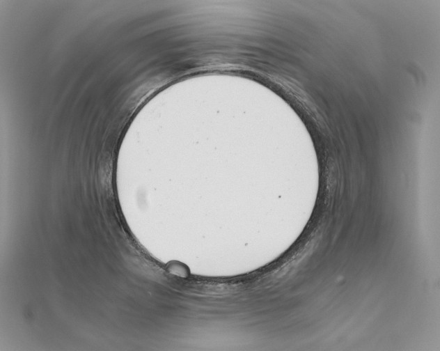X0000111011273200907311044