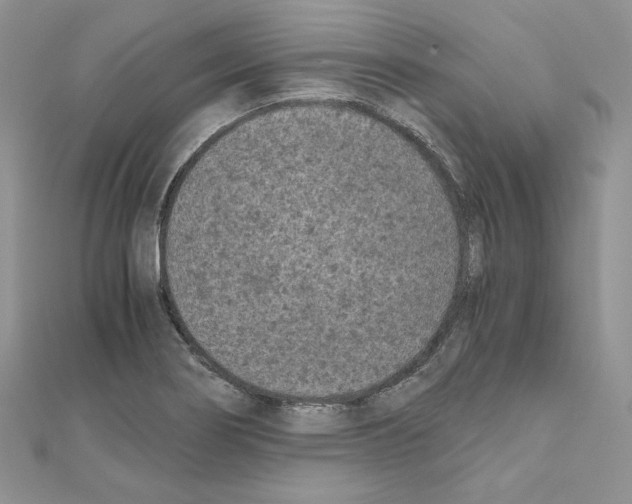 X0000111011274200907311044