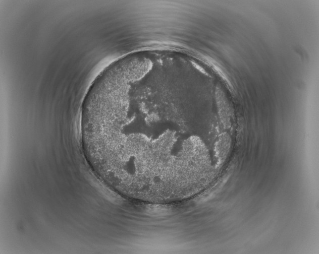 X0000111011275200907311044