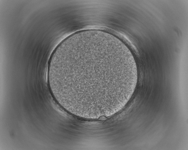 X0000111011276200907311044