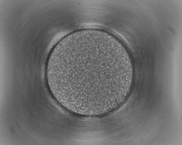 X0000111011277200907311044