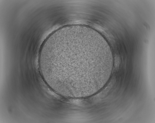 X0000111011278200907311044