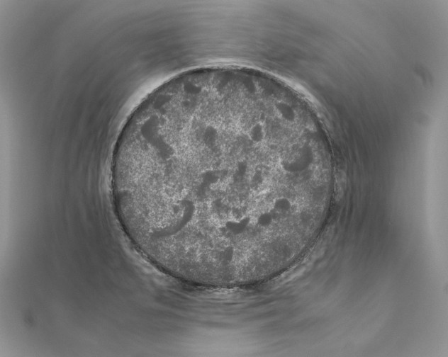 X0000111011279200907311044