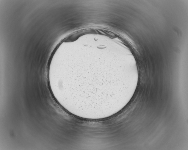 X0000111011280200907311044