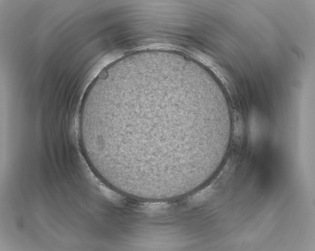 X0000111011282200907311044