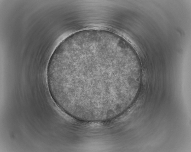 X0000111011283200907311044