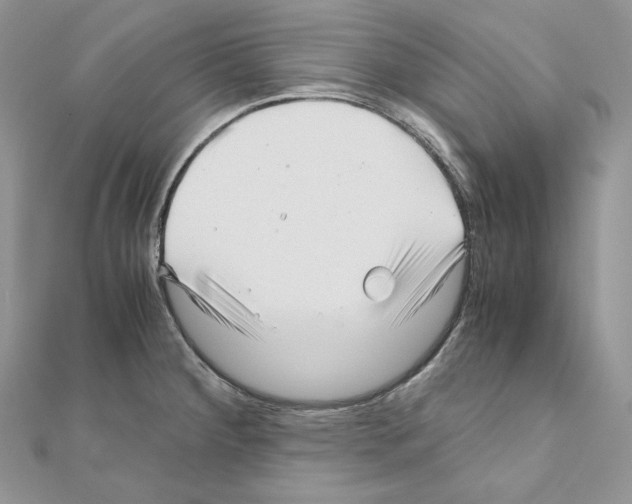 X0000111011284200907311044