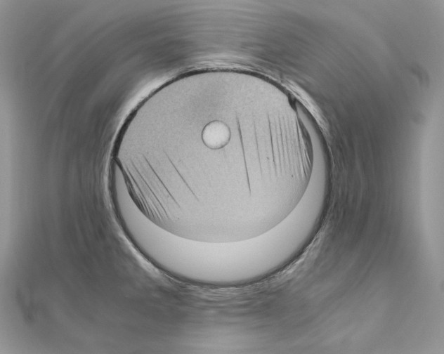 X0000111011285200907311044