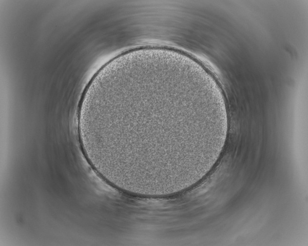 X0000111011287200907311044