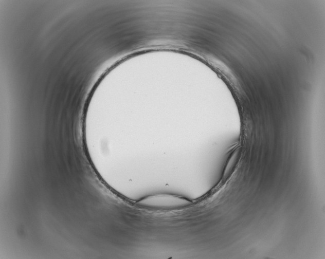 X0000111011288200907311044