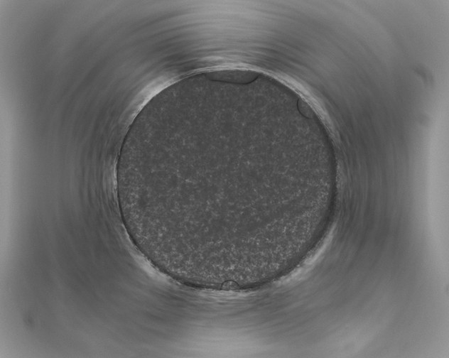 X0000111011289200907311044