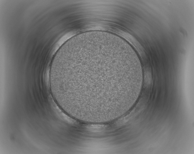 X0000111011290200907311044