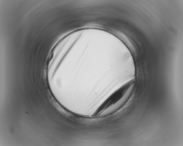 X0000111011292200907311044