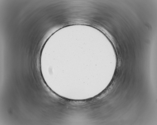 X0000111011293200907311044