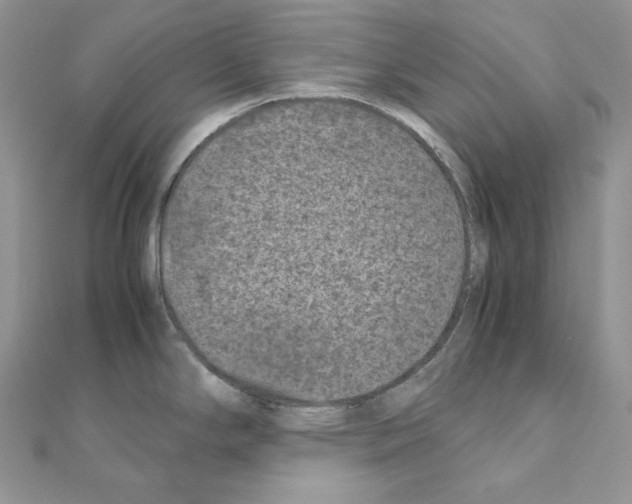 X0000111011294200907311044