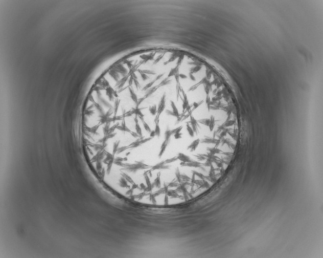 X0000111011295200907311044