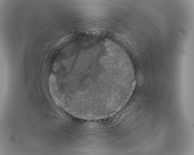 X0000111011297200907311043