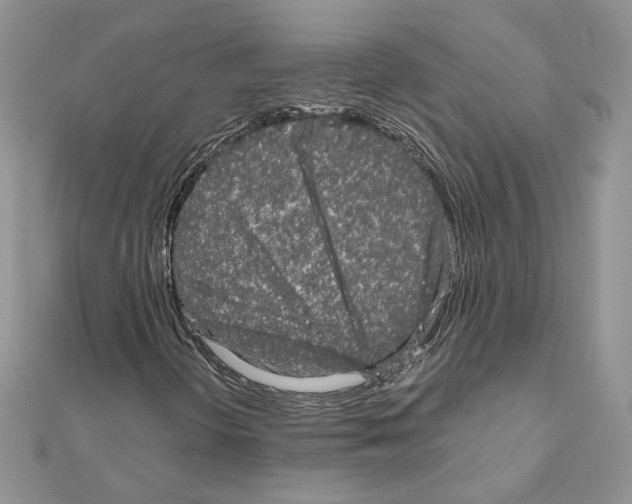 X0000111011298200907311043