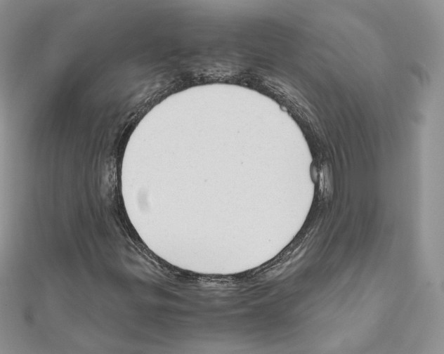X0000111011299200907311043