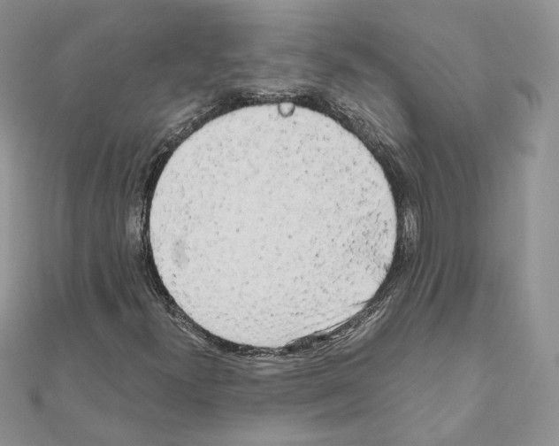 X0000111011300200907311043