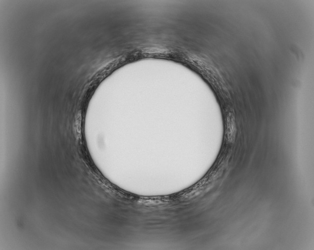 X0000111011301200907311043