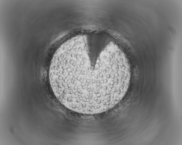 X0000111011302200907311043