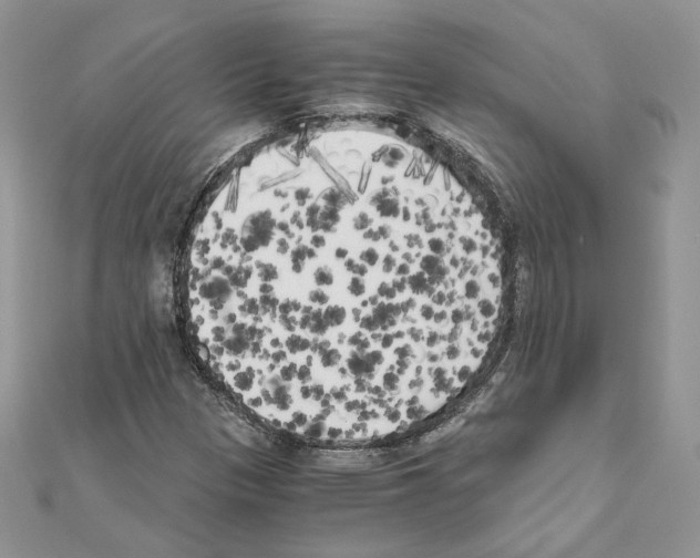 X0000111011305200907311043