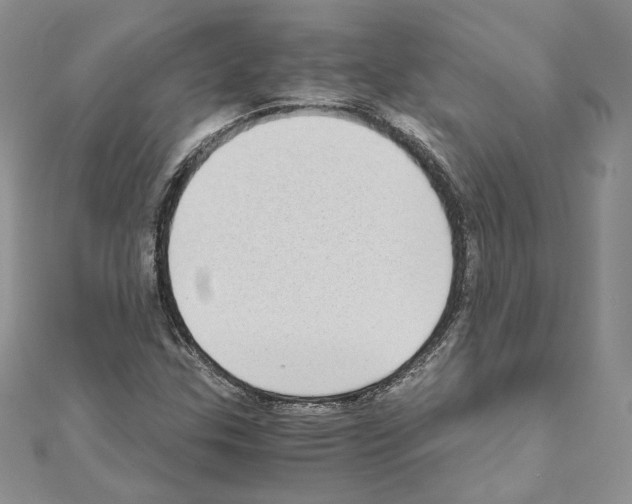 X0000111011307200907311043