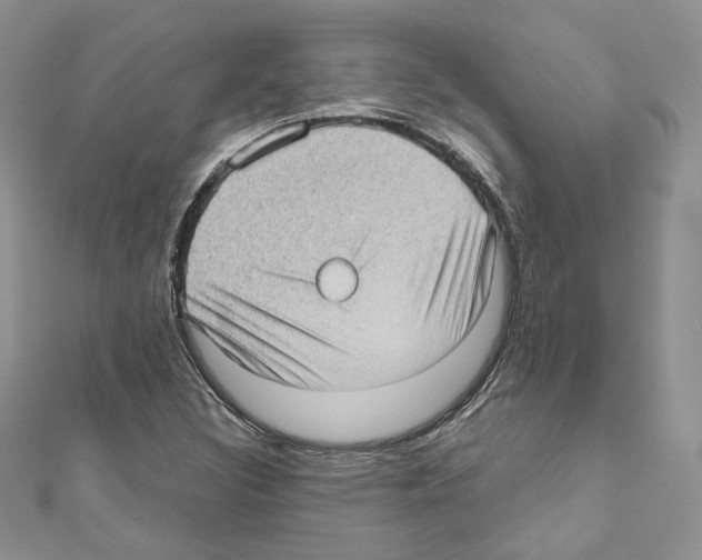 X0000111011308200907311043