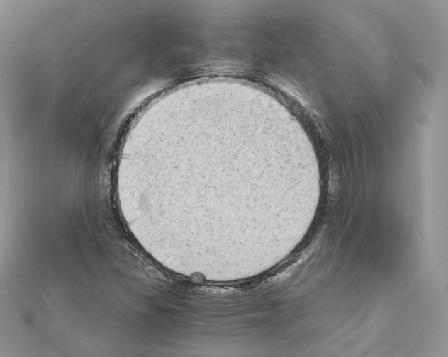 X0000111011309200907311043