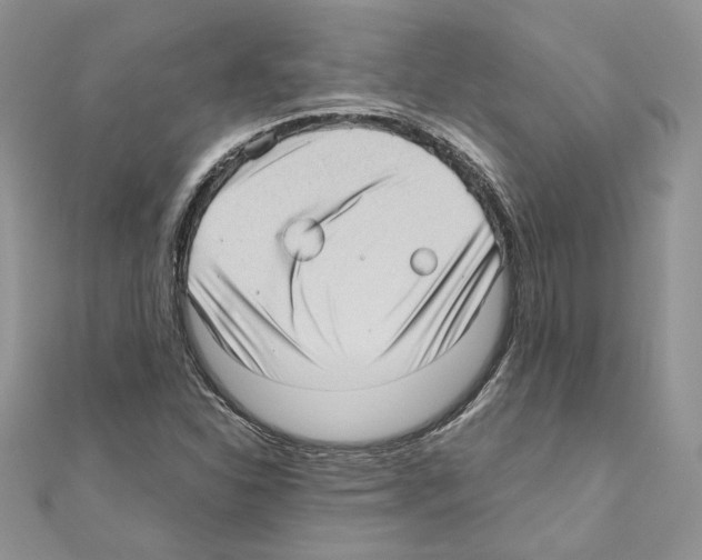 X0000111011310200907311043