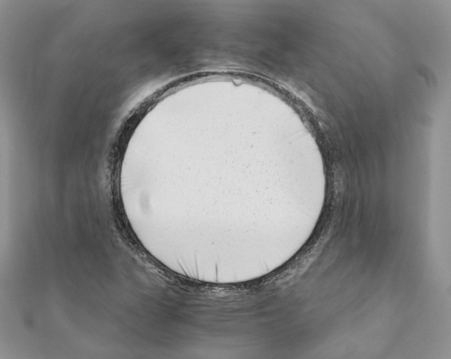 X0000111011311200907311043