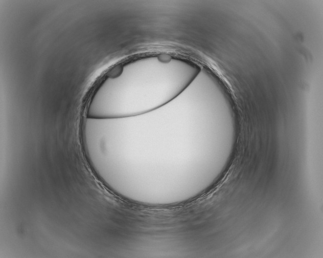 X0000111011312200907311043