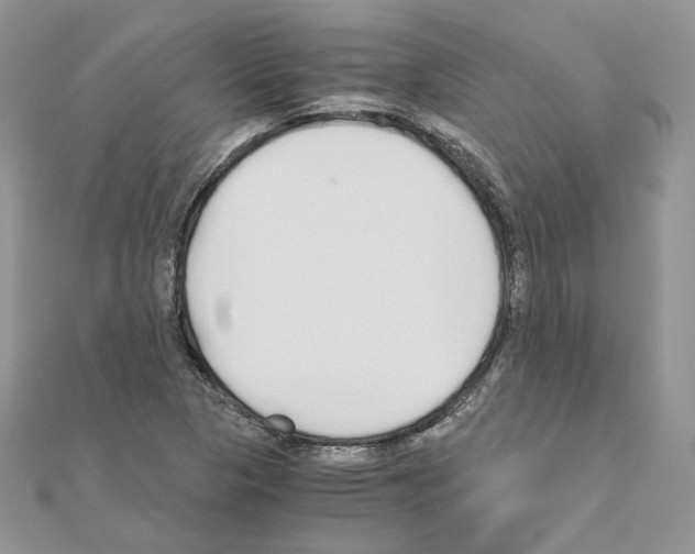 X0000111011313200907311043