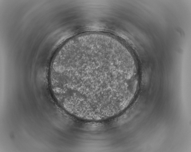 X0000111011314200907311043