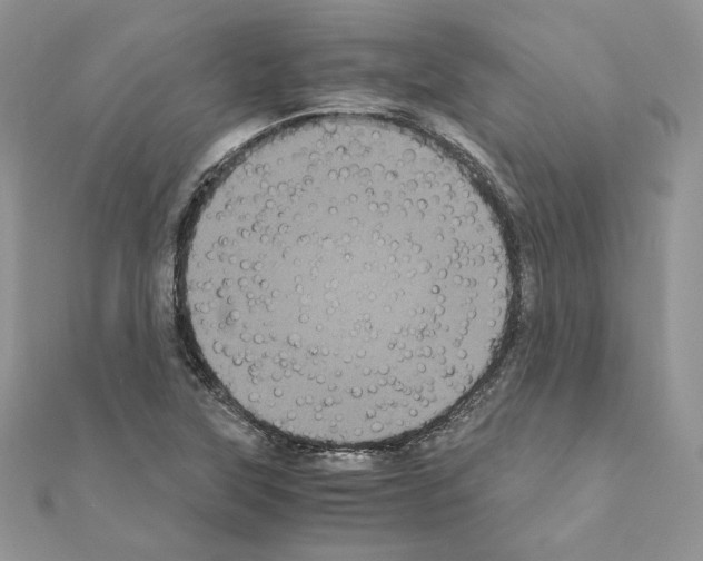 X0000111011315200907311043