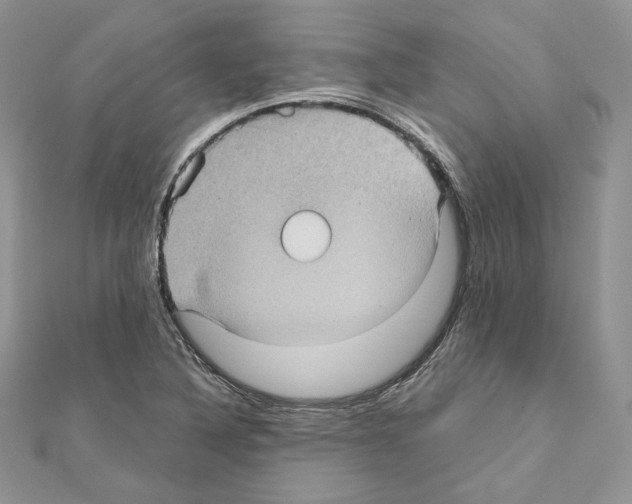X0000111011316200907311043