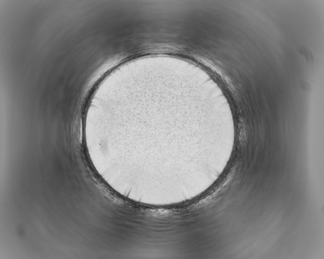 X0000111011317200907311043