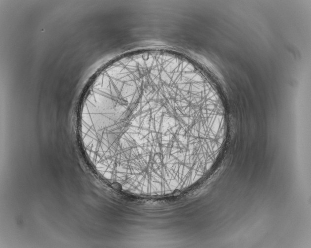 X0000111011318200907311043