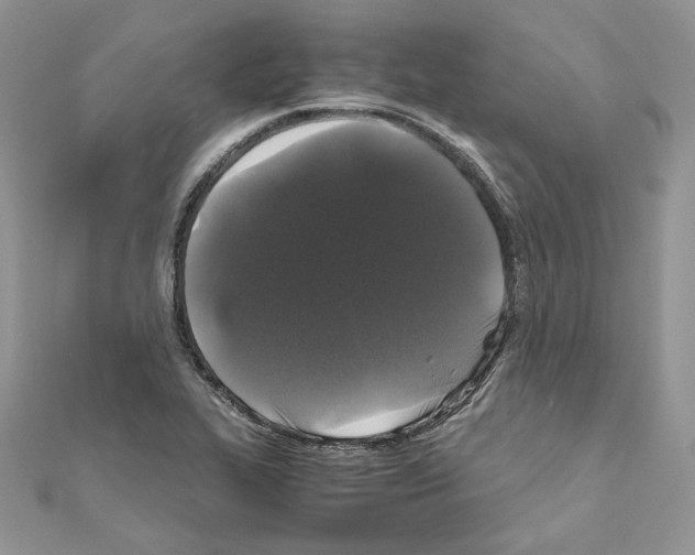 X0000111011319200907311043