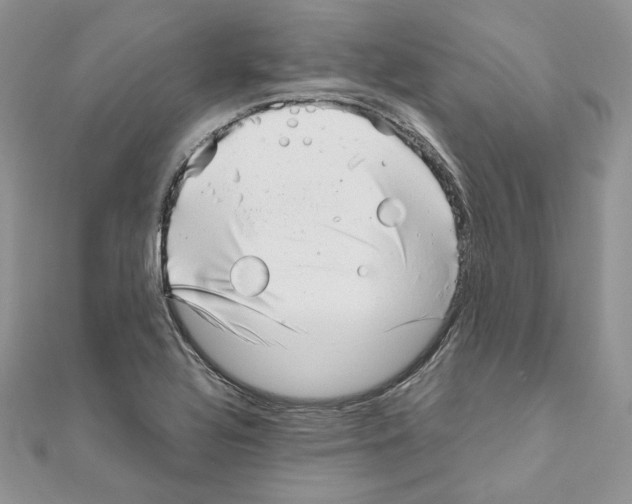 X0000111011320200907311043