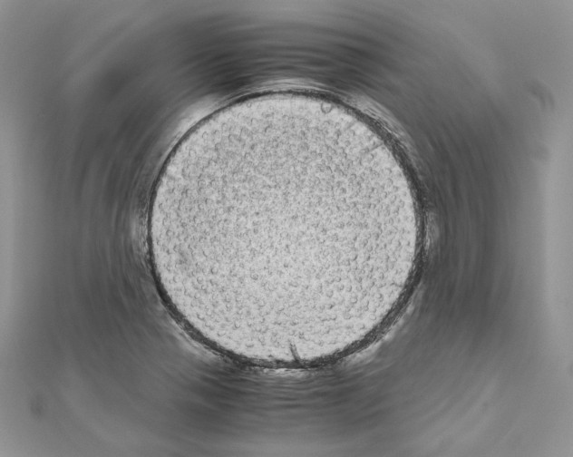 X0000111011321200907311043