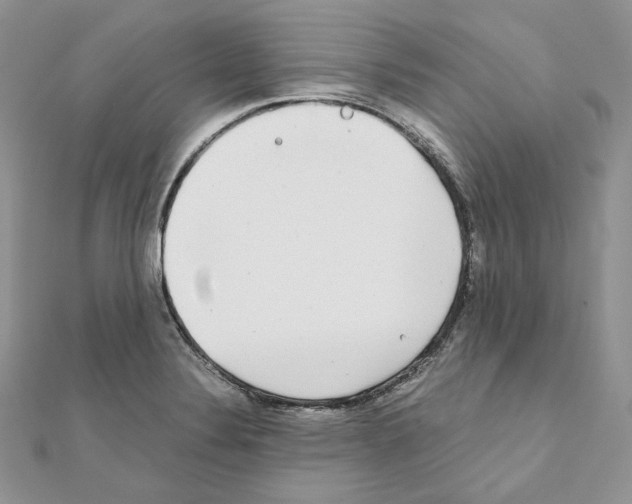 X0000111011324200907311043