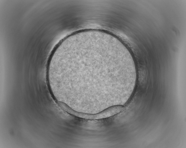 X0000111011326200907311043