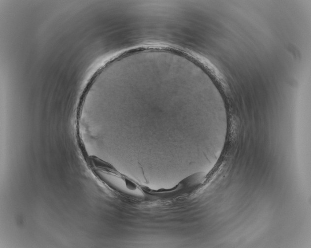 X0000111011327200907311043