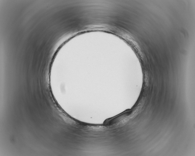 X0000111011328200907311043