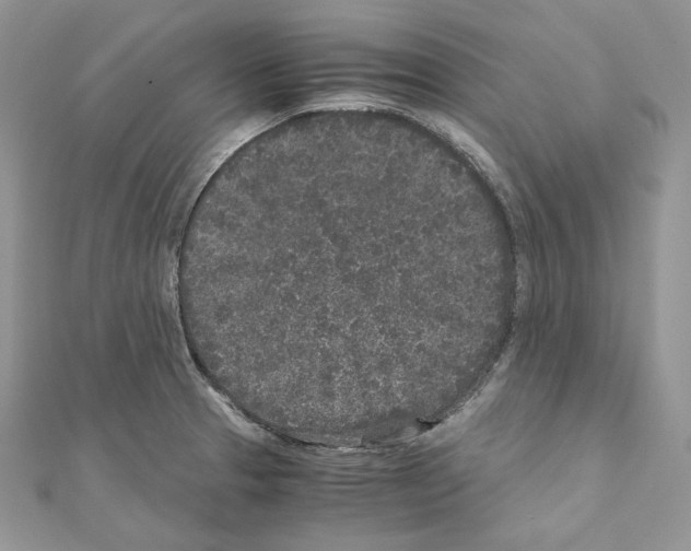 X0000111011329200907311043